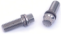 12 point flange bolts